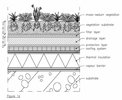 GreenRoofing Image 2