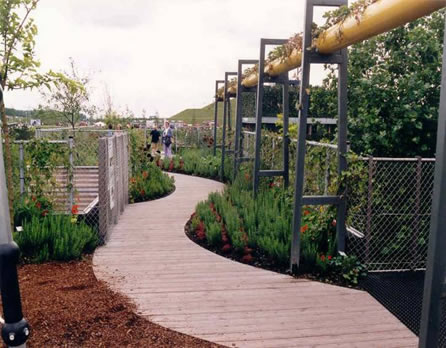 Green Roofing Image 3